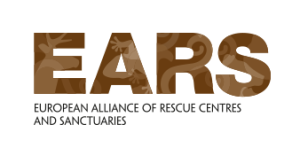 EARS logo | Sterk Merk logo's, huisstijlen en websites