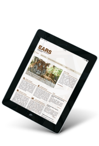 Website EARS | Sterk Merk logo's, huisstijlen en websites